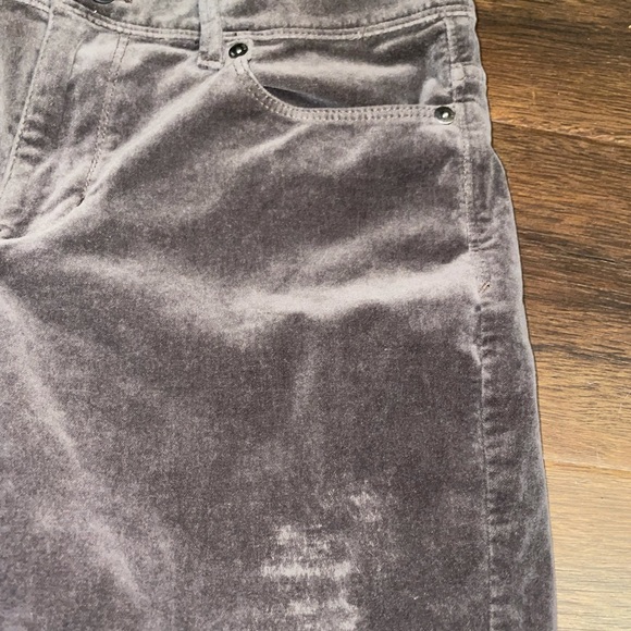 J. Jill Velvet Pant - Picture 3 of 12